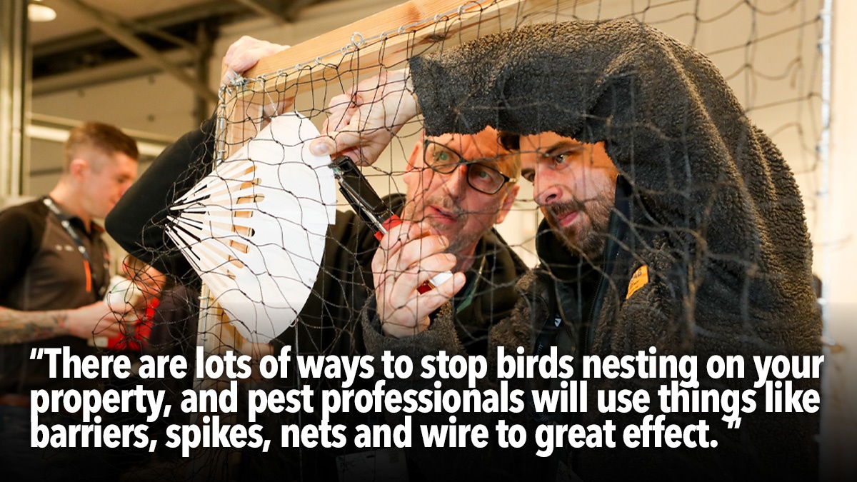 hero3pestaware-how-do-i-stop-birds-nesting-on-my-property-hero2 hero3pestaware-how-do-i-stop-birds-nesting-on-my-property-hero2